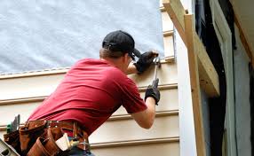 Best Brick Veneer Siding  in Palatine, IL